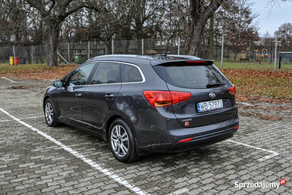 Kia Ceed Salon 1 właściciel Bezwypadkowy 2014 r Rok produkcji 2014 Wrocław sprzedam