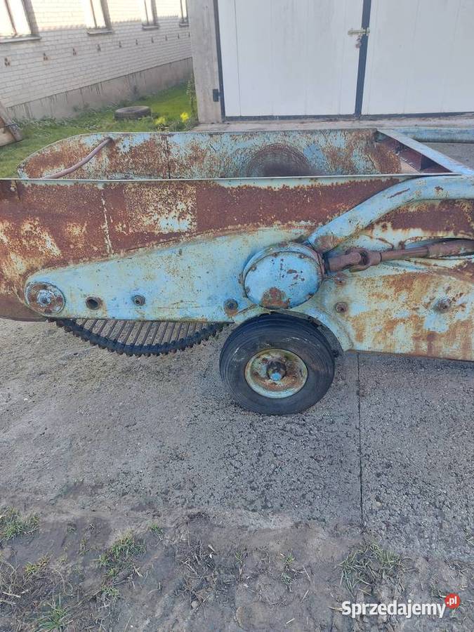 Kopaczka elewatorowa do ziemniaków Łosice