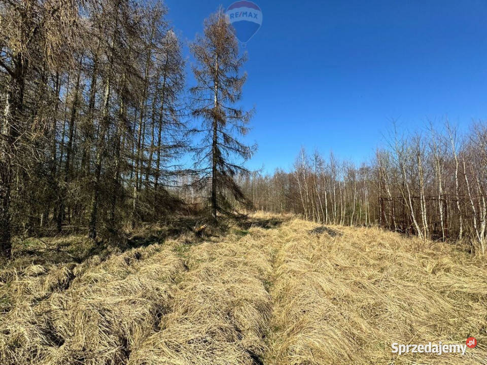 Działka budowlana 5436 m Łuków Śląski