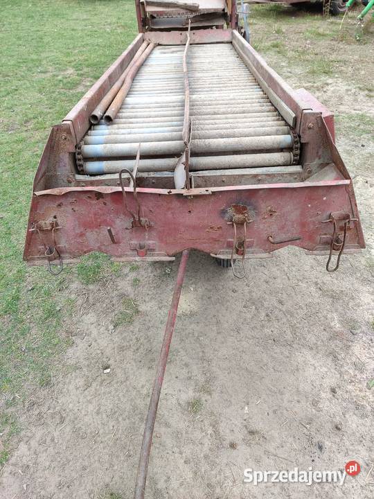 Sortownik puck pucki do ziemniaków warzyw Paprotnia