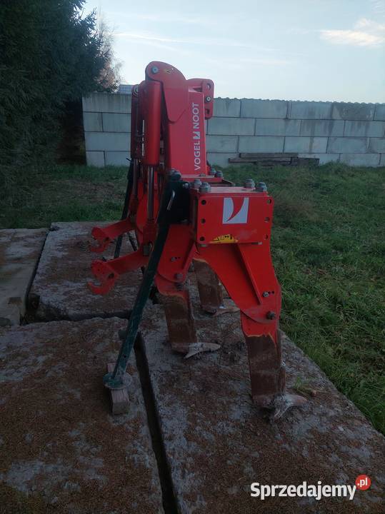 Głębosz Vegel Nood Vogel & Noot Głębosze Korzenica