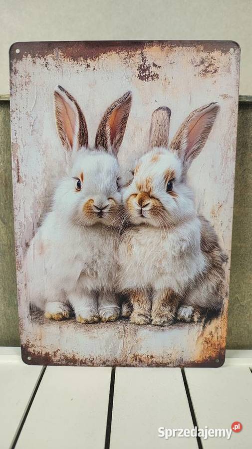 Tabliczka metalowa łódzkie Łódź