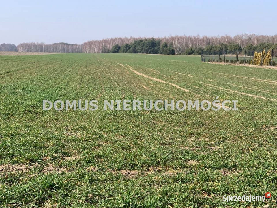 Ogłoszenie działka 1577m2 Złotniki budowlana