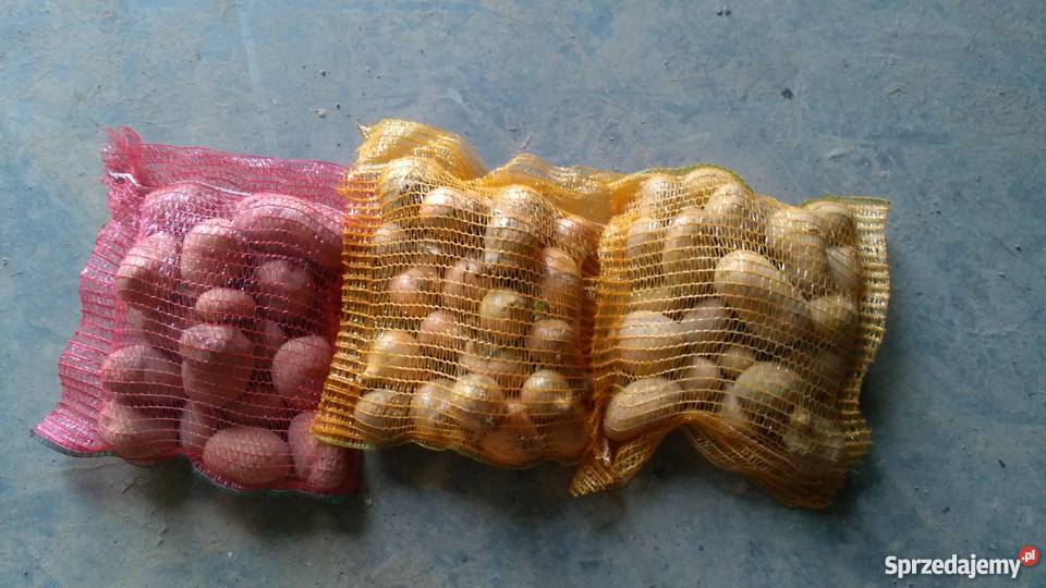 Sprzedam ziemniaki jadalne Marabell Bellarosa Rośliny okopowe Borów-Kolonia