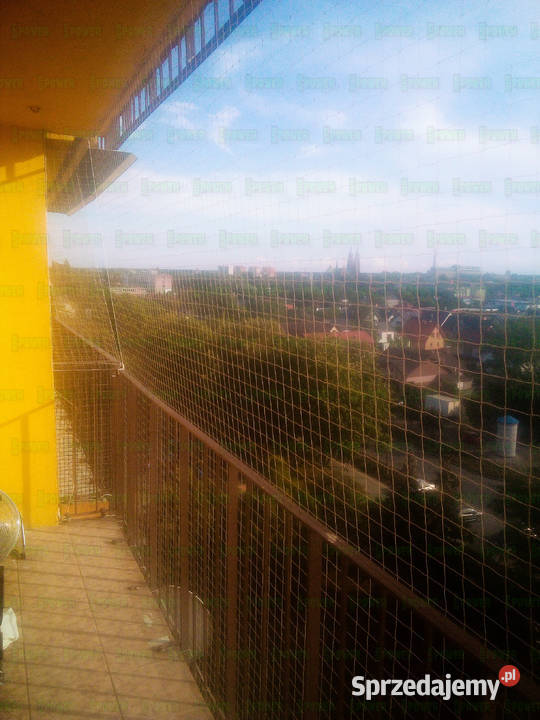 Zakładanie siatek na balkon bez wiercenia Usługi Warszawa usługi dla zwierząt