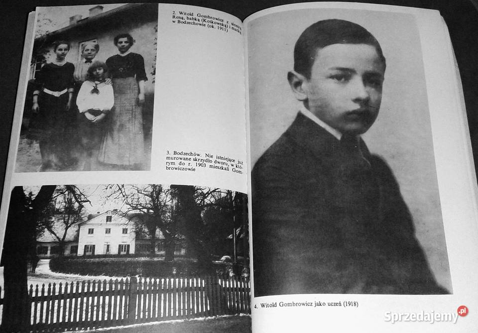 Jaśnie panicz Joanna Siedlecka Rok wydania 1992 lubelskie Chełm