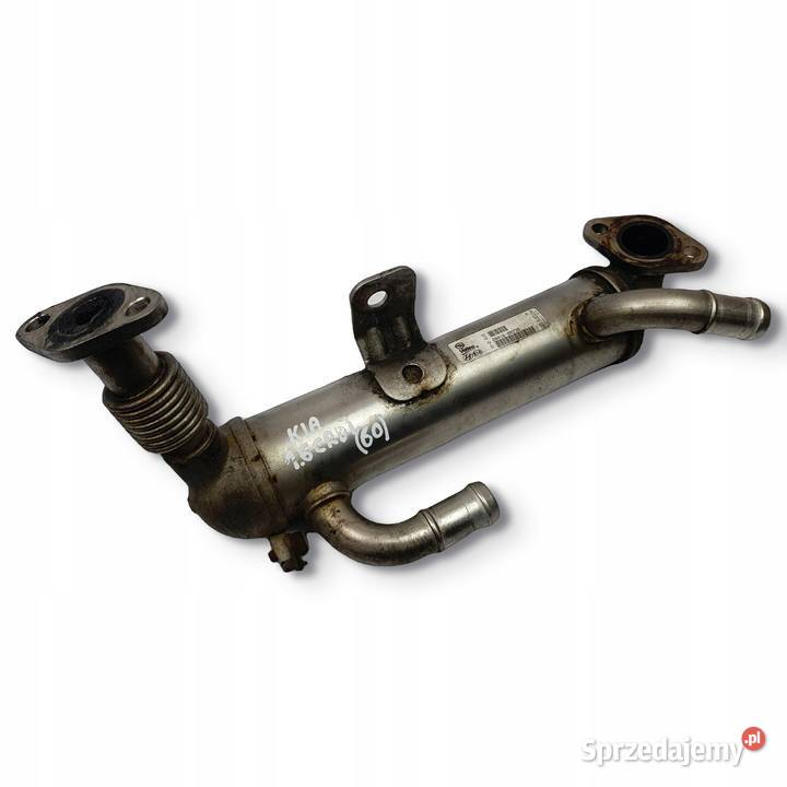 CHŁODNICA SPALIN Kia Ceed 16 CRDI 284162A730 Chełm