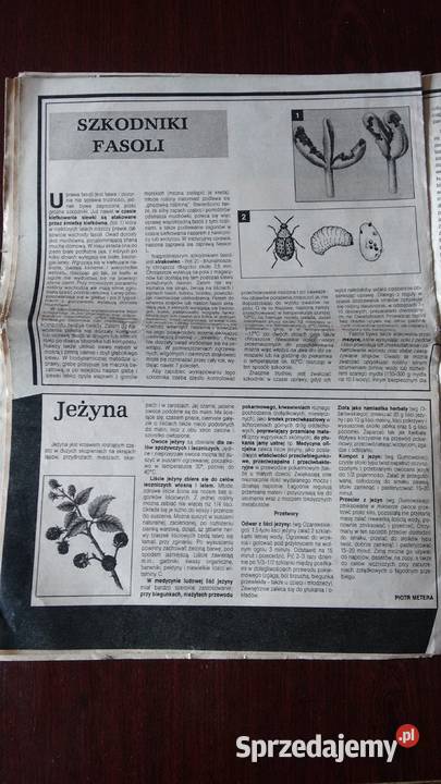 Gospodyni 21 2398 Stalowa Wola