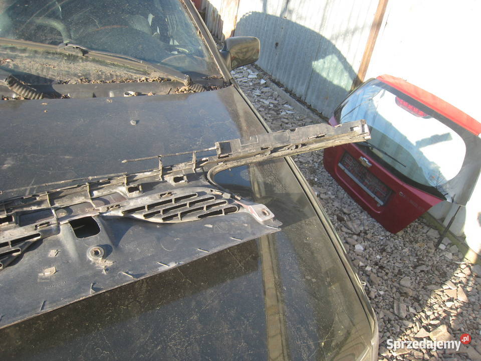 Grill atrapa chłodnicy wlot powietrza Renault Kraków