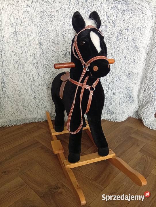 Konik na biegunach Bronisławka