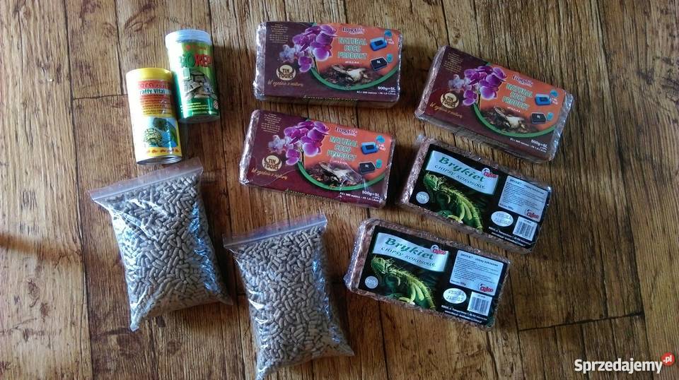 żółw lądowy stepowy razem z terrarium Bydgoszcz