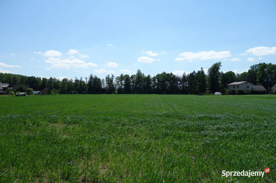 Skoczów Ochaby 32 ha z częścią budowlaną 62zł/m2 śląskie