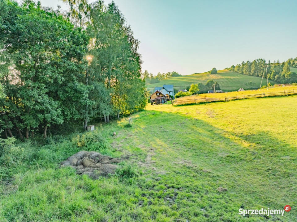 Działka budowlana kluszkowce zdrojowa 787 m mpzp