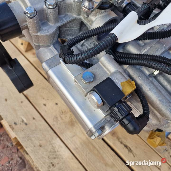 EUROCARGO TGL GAMA D VOLVO FL DAF LF SKRZYNIA Skrzynie biegów manualne lubuskie Bieleń