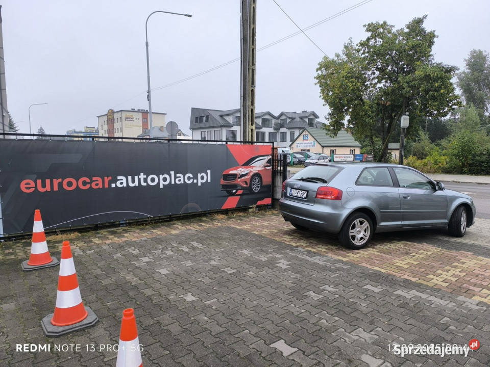 Audi A3 16 MPi 102 Klimatyzacja 8P 20032012 Łuków