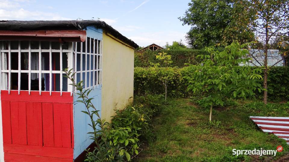 Działka ROD Piła 448m2 w centrum Zbycie prawa