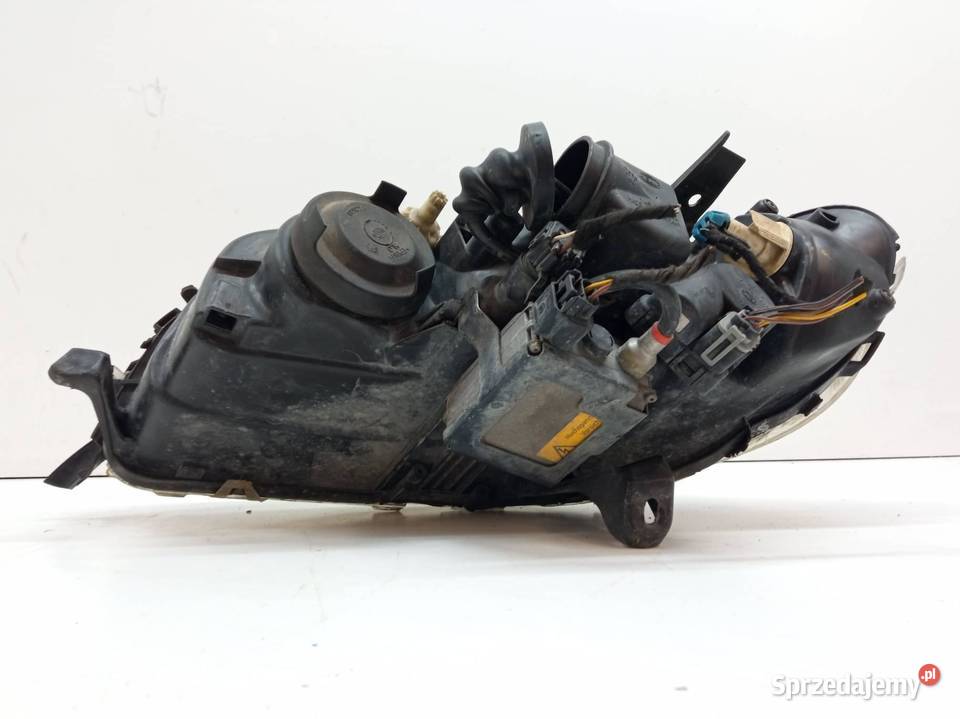 LAMPA PRZÓD PRAWA XENON 1EL00905002LE Opel Omega świętokrzyskie