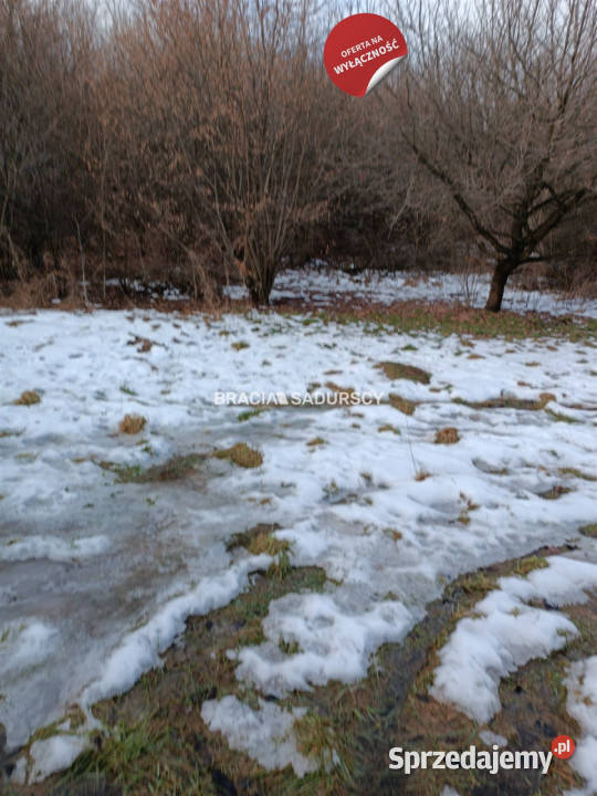 sprzedaży działki 9900m2 Czarnochowice inwestycyjna