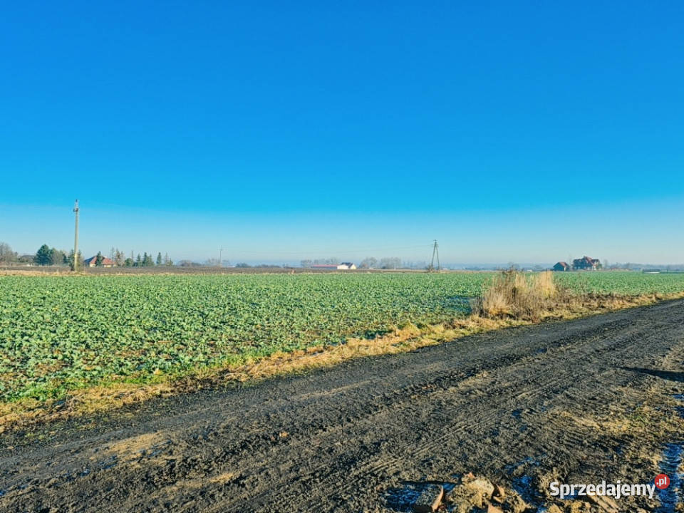 Piękna działka budowlana w Brzezinie koło Brzezina
