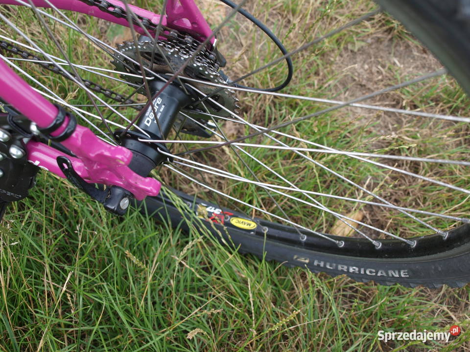 Rower MTB Musing Off Road Chojnów