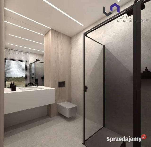 Dom wolnostojący Katowice 300m2