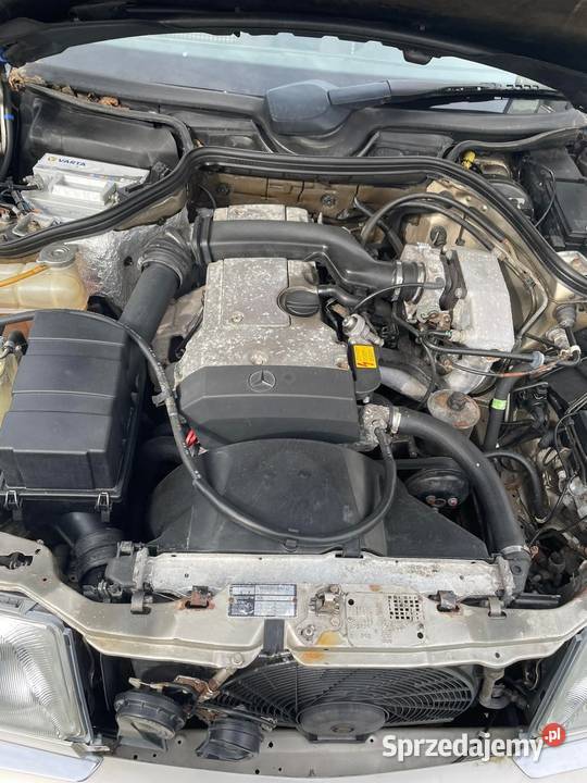 Mercedes 124 Zgorzelec