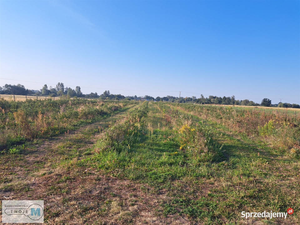 Grunt 22000m2 Łubnice