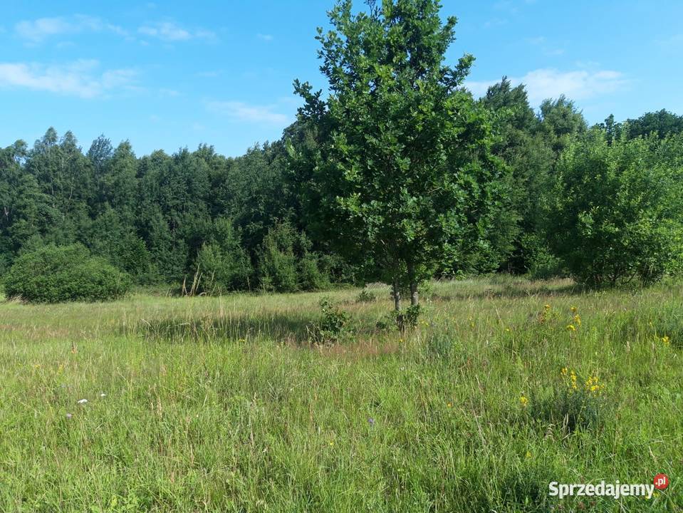 Działka budowlana z dostępem do jeziorka Sprzedaż Czarnkowie