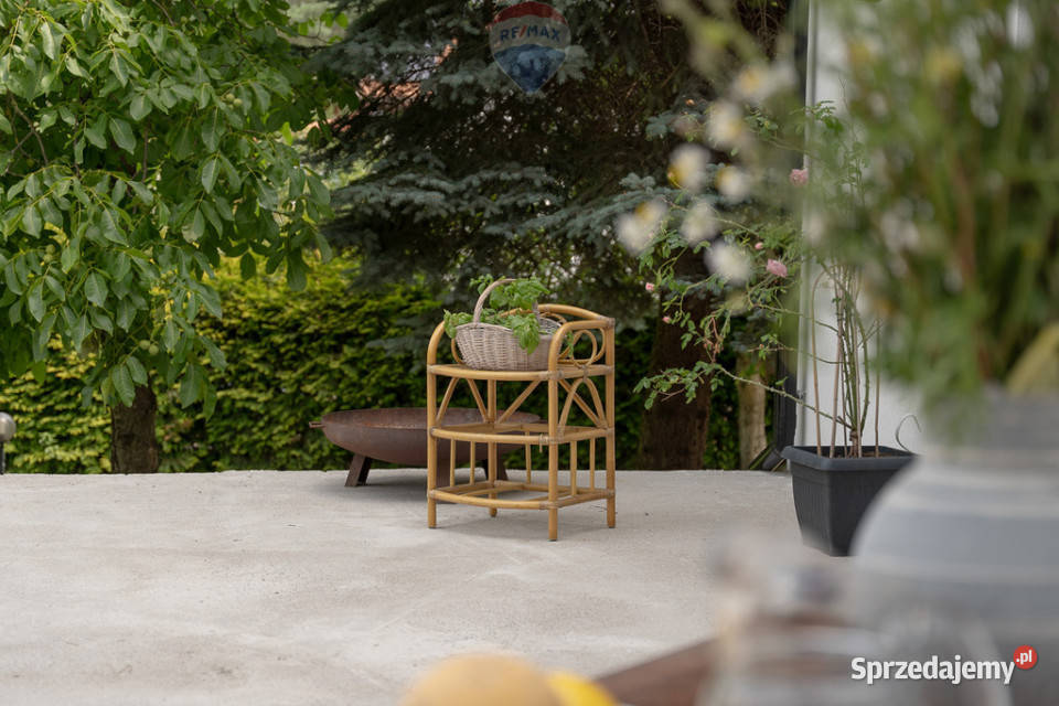 Willaobok PODKOWY LEŚNEJ i MILANÓWKADUŻA DZIAŁKA gazowe