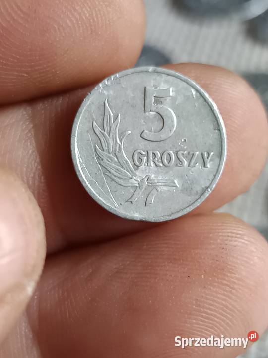 Sprzedam 5 groszy 1958 nn Chełm