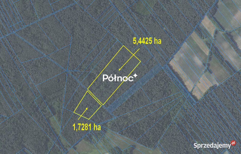 Działki leśne do sprzedaży Mokre gm Rossosz