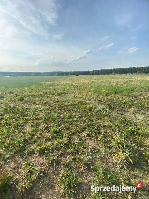 Działka budowlana 5462m2 Sprzedaż Lubowidz