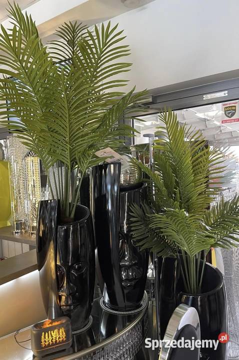 Biała donica twarz czarna Glamour głowa duża małopolskie Nowy Sącz