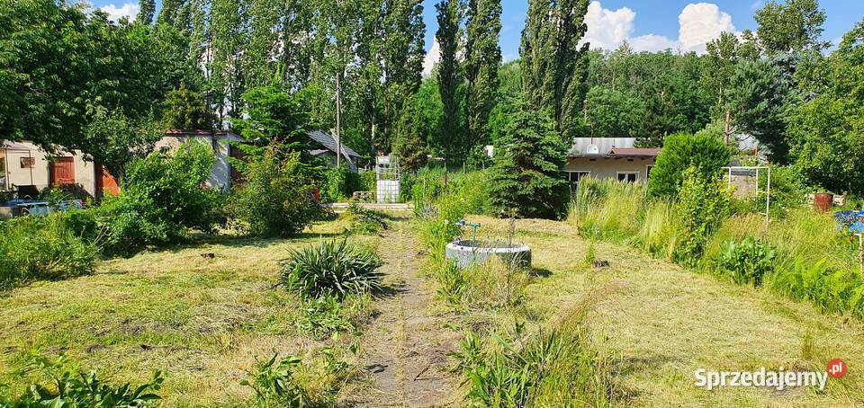 Ogródek działkowy ROD rekreacyjna Chorzów