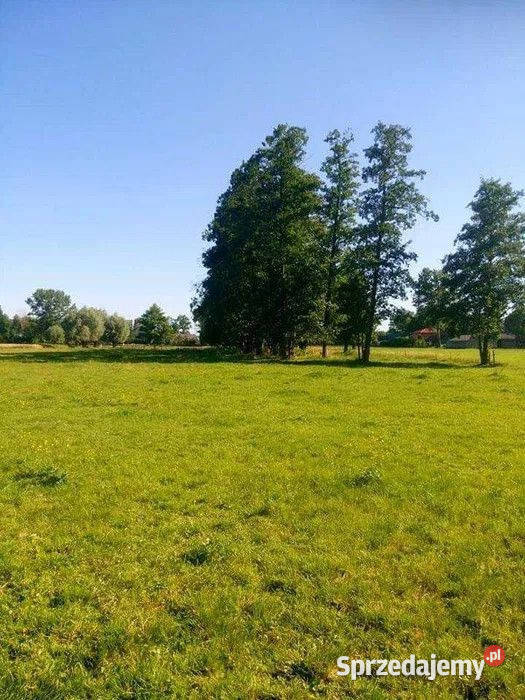 Działka Siedliskowa na sprzedaż Rażny