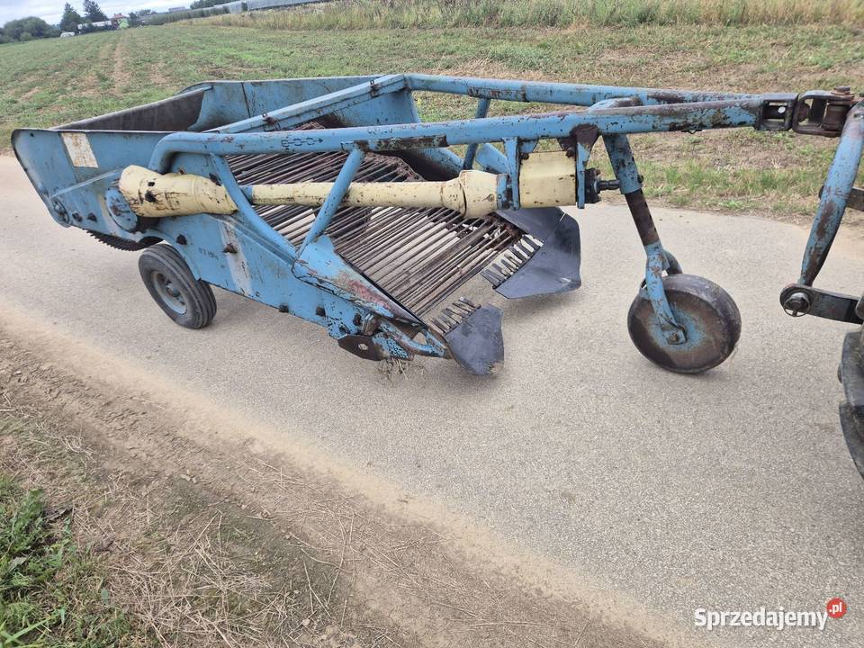 Kopaczka elewatorowa dwurzedowa do ziemniakow Sandomierz