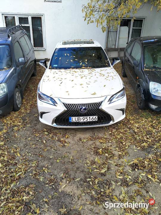 Lexus ES 300h hybryda z 2020 roku Sedan / Limuzyna Lublin