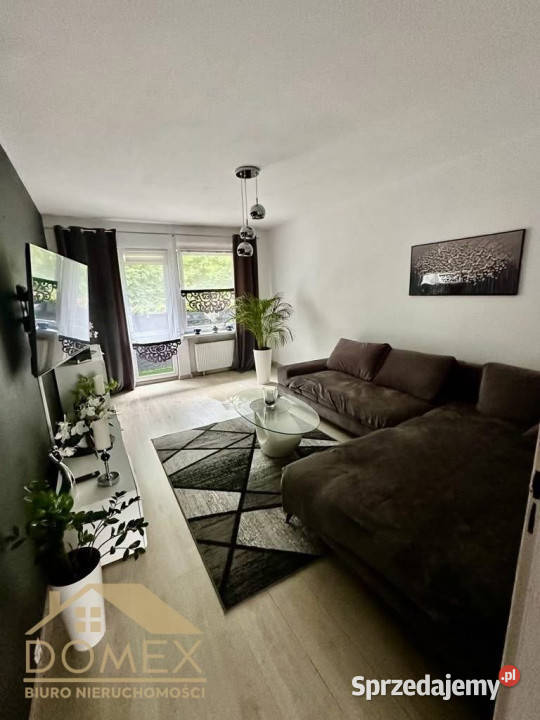 wynajmu mieszkania Rybnik 48m2 2 pokoje blok Mieszkania śląskie