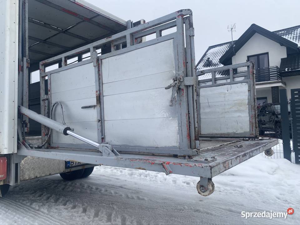 Mercedes sprinter do przewozu bydła z wagą Hodowla bydła