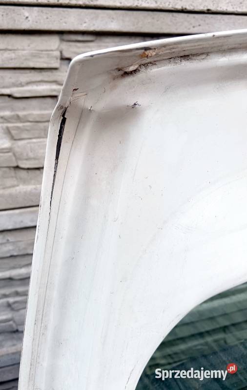 Kangoo 2 II drzwi tył prawe skrzydło kolor 0389 Kłobuck sprzedam