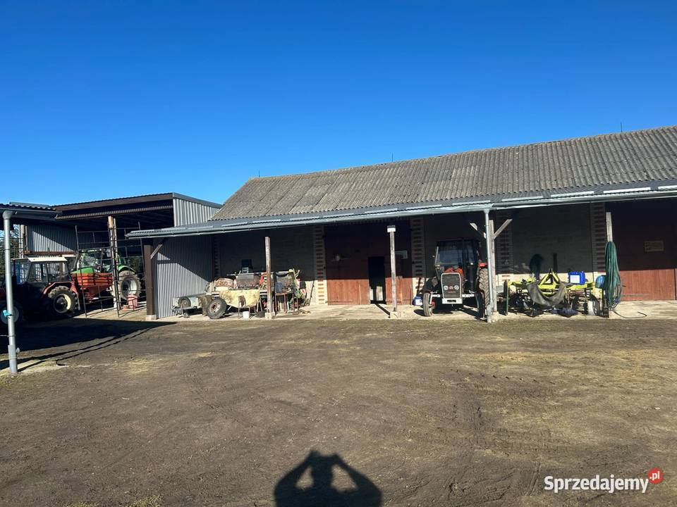 Działka 31 arów dom mieszkalny 120 m2 plus Sprzedaż Miedniki