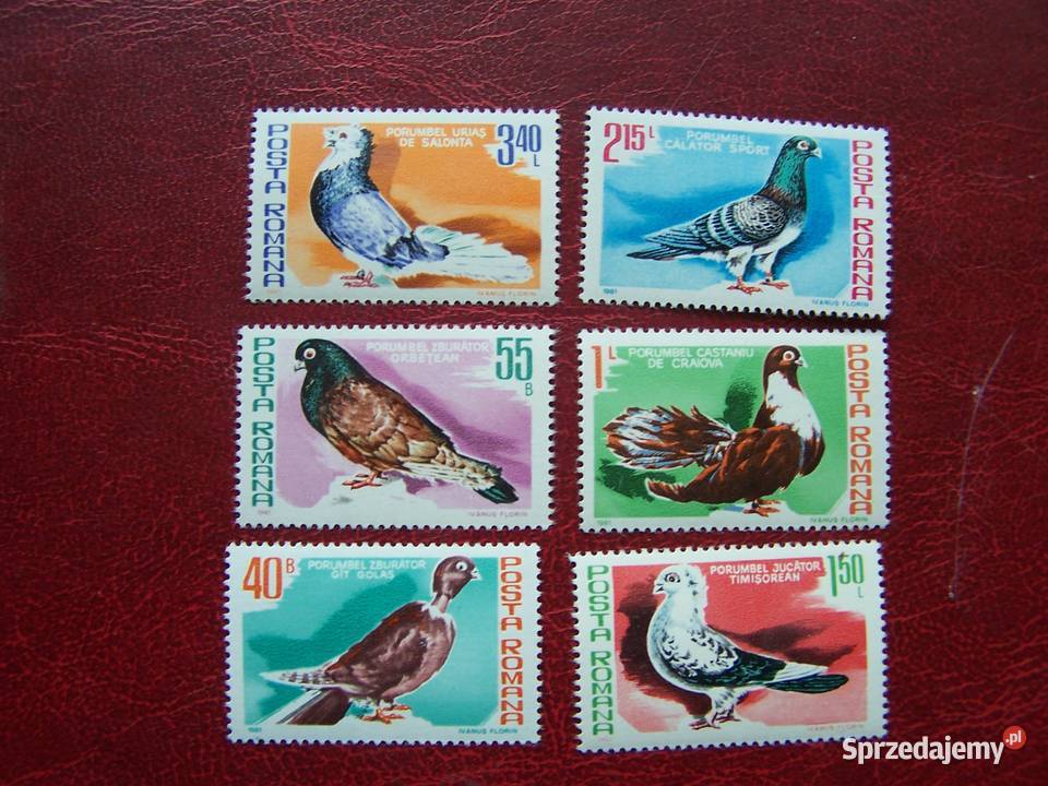 Rumunia 1981 MNH Mi 377780Fauna Ptaki Gołębie Tychy