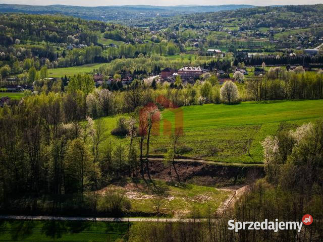 Działkę sprzedam Chmielnik Chmielnik 1362m2 budowlana