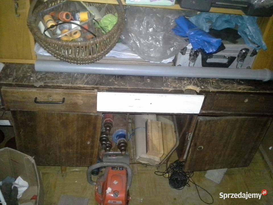 Biurko patyczak mazowieckie