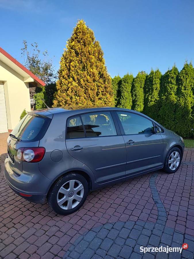 VW GOLF PLUS 14 BENZYNA manualna Golf Plus Lubaczów