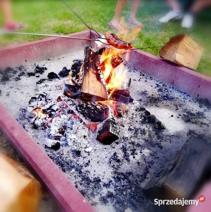 Pole namiotowe kempingowe Sarbinowo