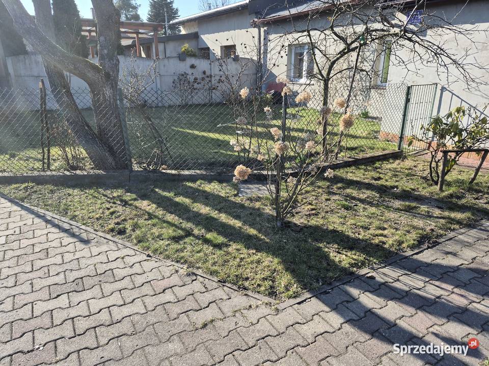 Dom mieszkalny w centrum Bełchatowa łódzkie Bełchatów