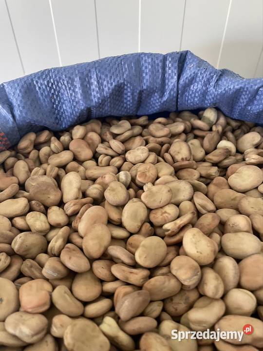 Bób BIZON małopolskie Czechy