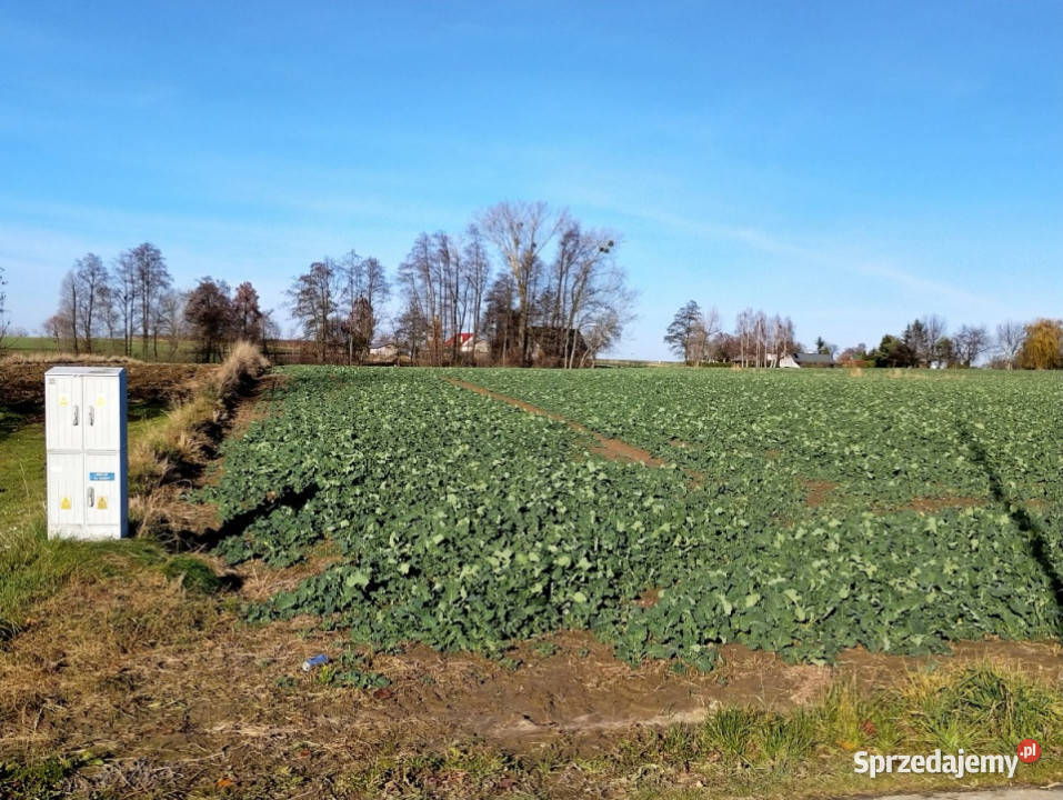 Działka 2000m2 Osowa budowlana Sprzedaż sprzedam