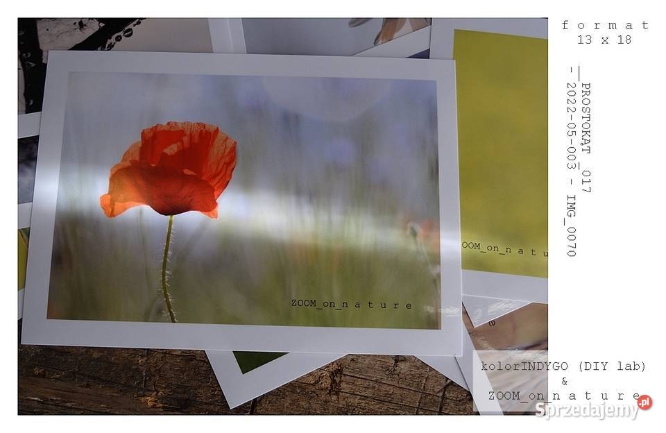 ZDJĘCIA przyrodnicze czIII Pozostałe Witnica sprzedam